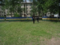 �����������