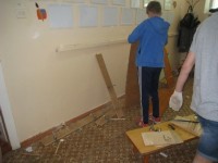 �����������