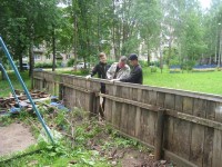 �����������