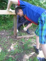 �����������